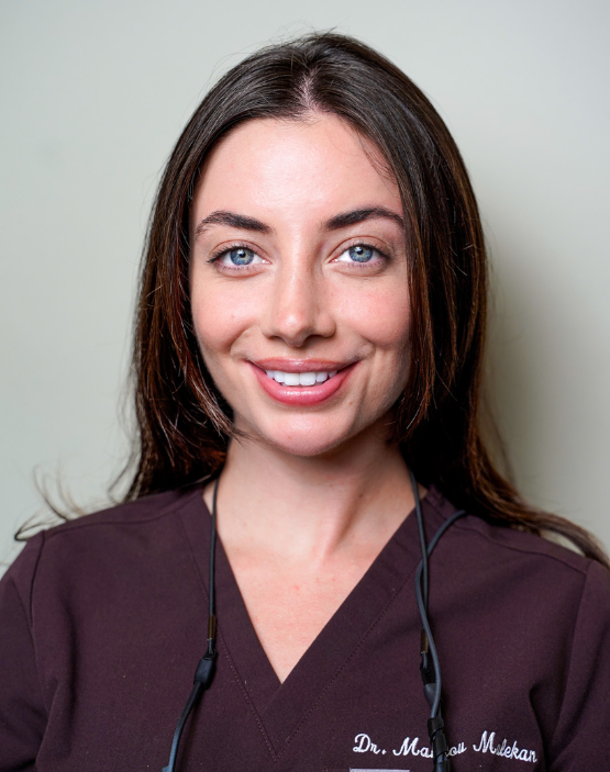 Dr. Malekan
